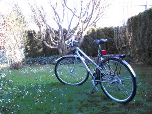 Bike-main